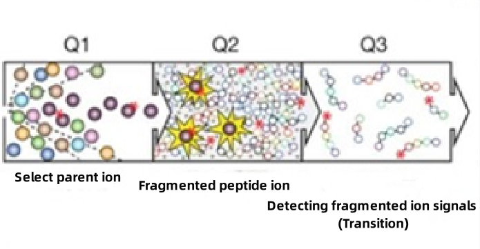 targeted-proteomics1.png