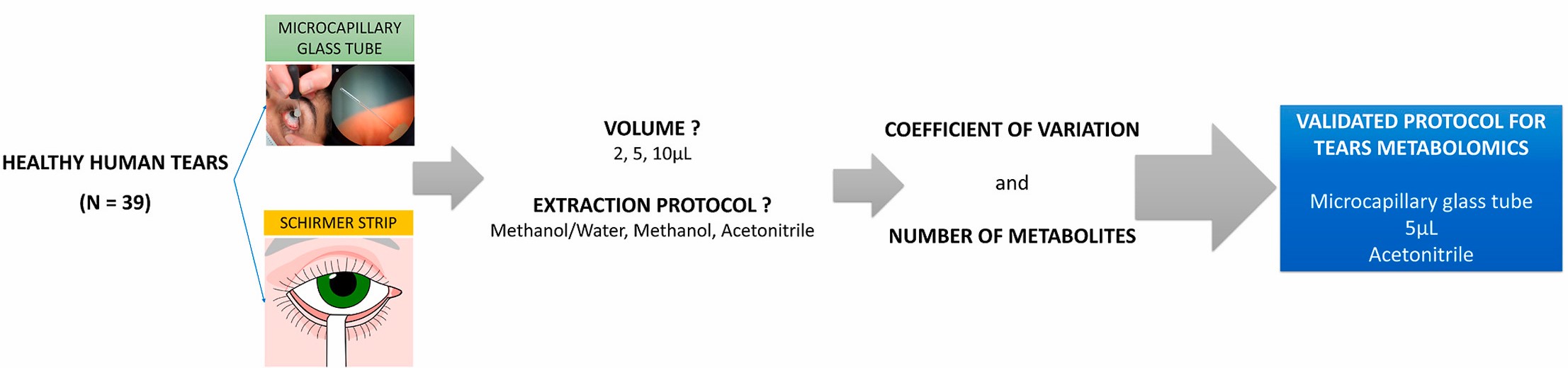 tear-metabolomics-service1.jpg