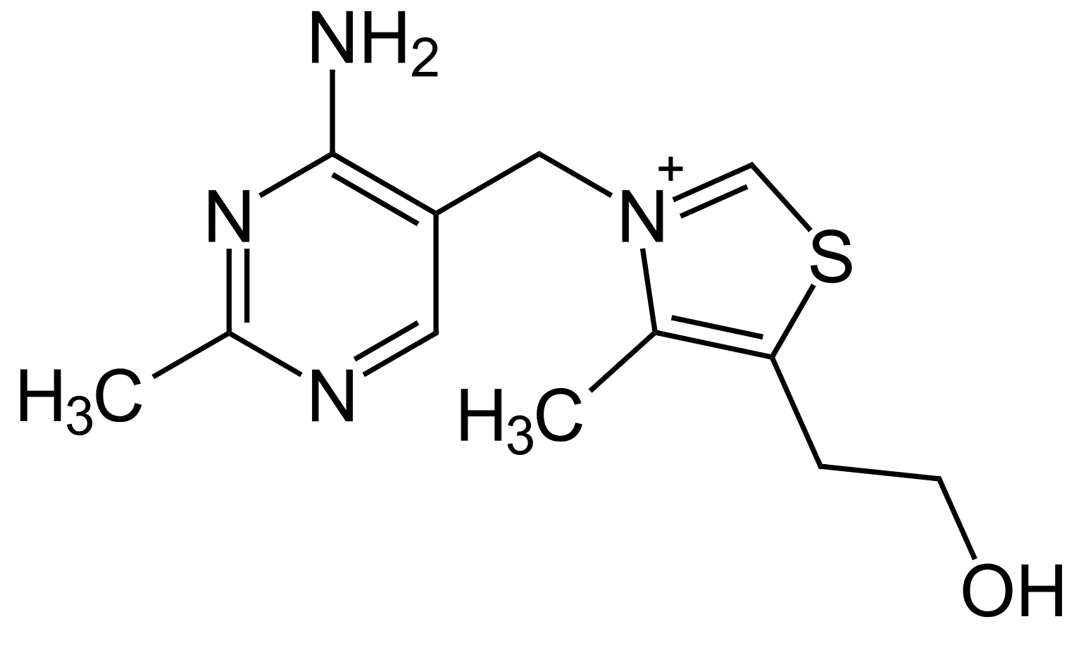 thiamine-metabolites-and-derivatives-analysis1.png