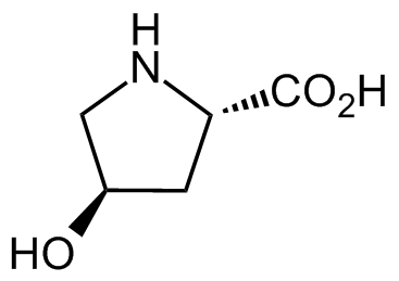 trans-4-hydroxy-l-proline-analysis-service1.webp