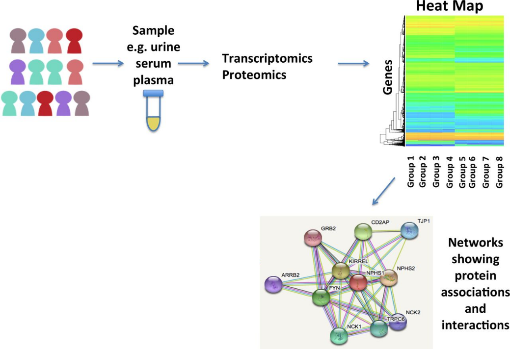 transcriptome-proteomics1.png