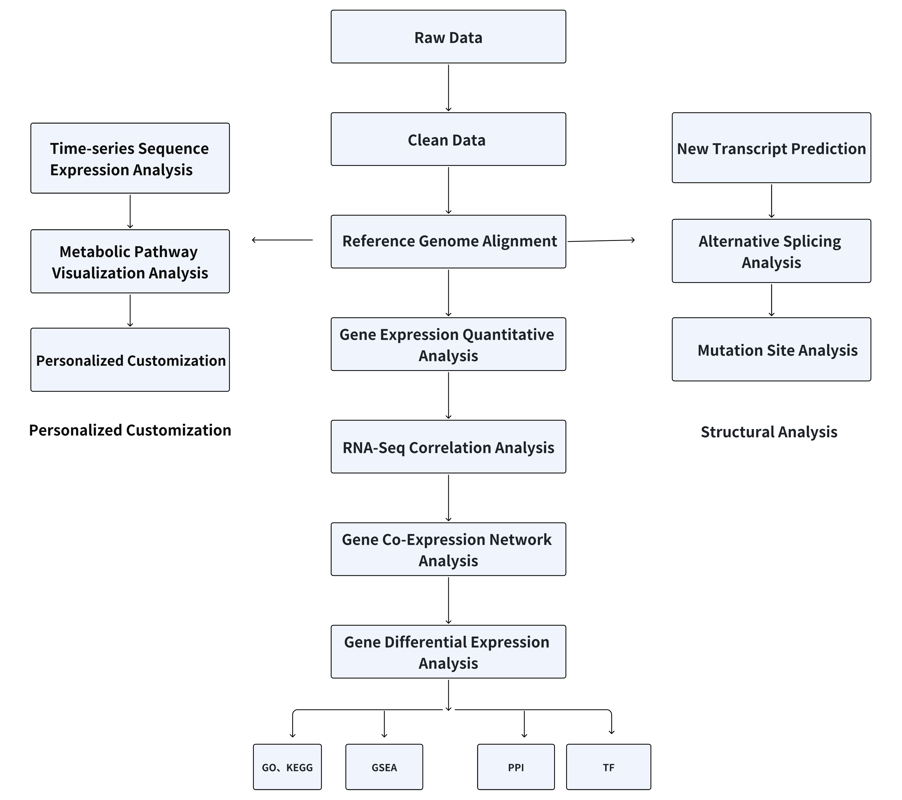 transcriptome-sequencing1.png