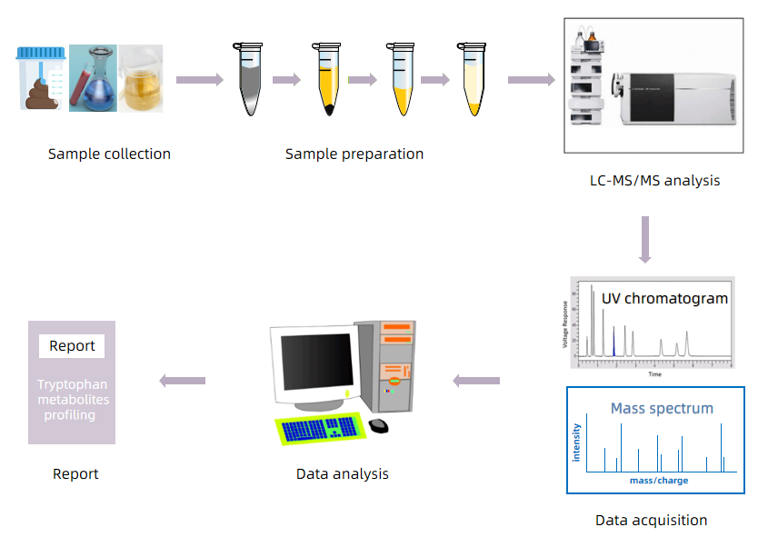 tryptophan-metabolites-analysis2.PNG