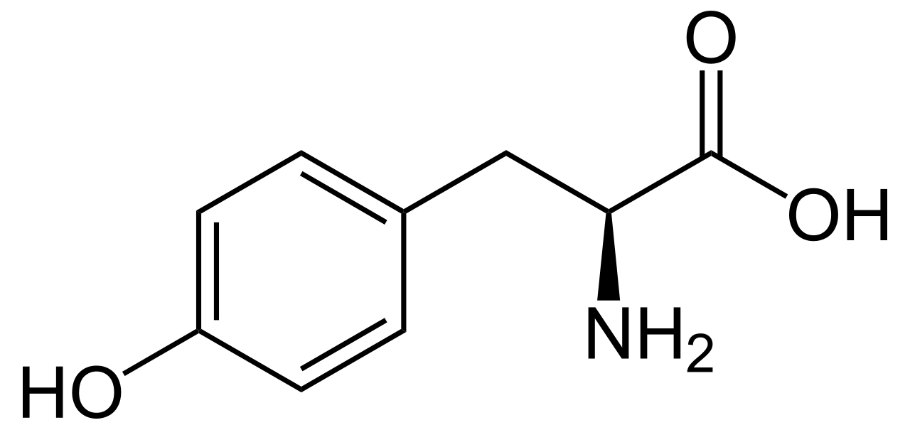 tyrosine-analysis-service1.png