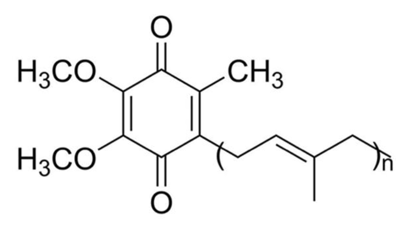 ubiquinone-and-other-terpenoid-quinone-biosynthesis-service1.png