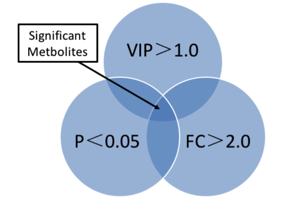 univariate-statistical-analysis2.png