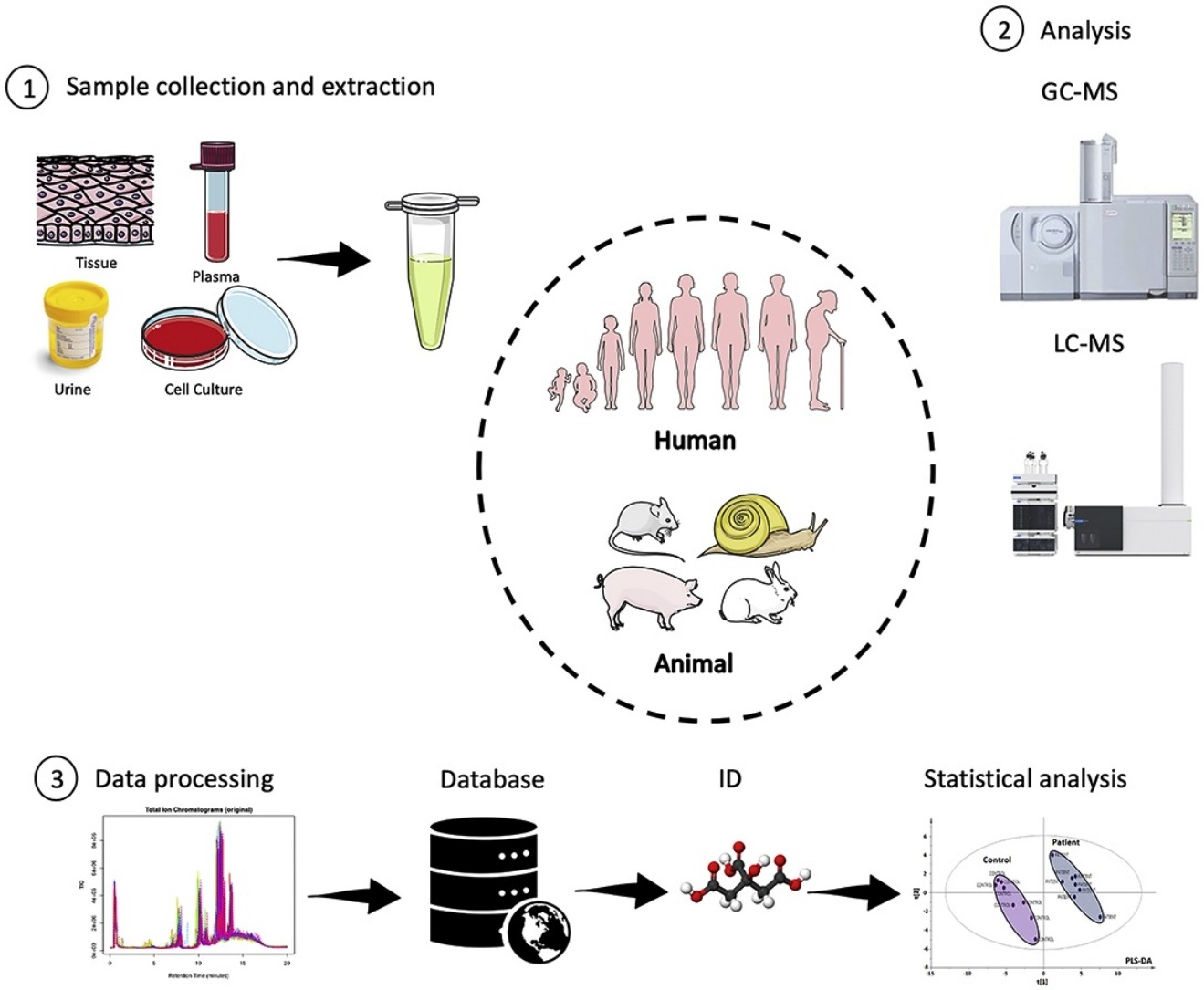 untargeted-metabolomics-service1.jpg