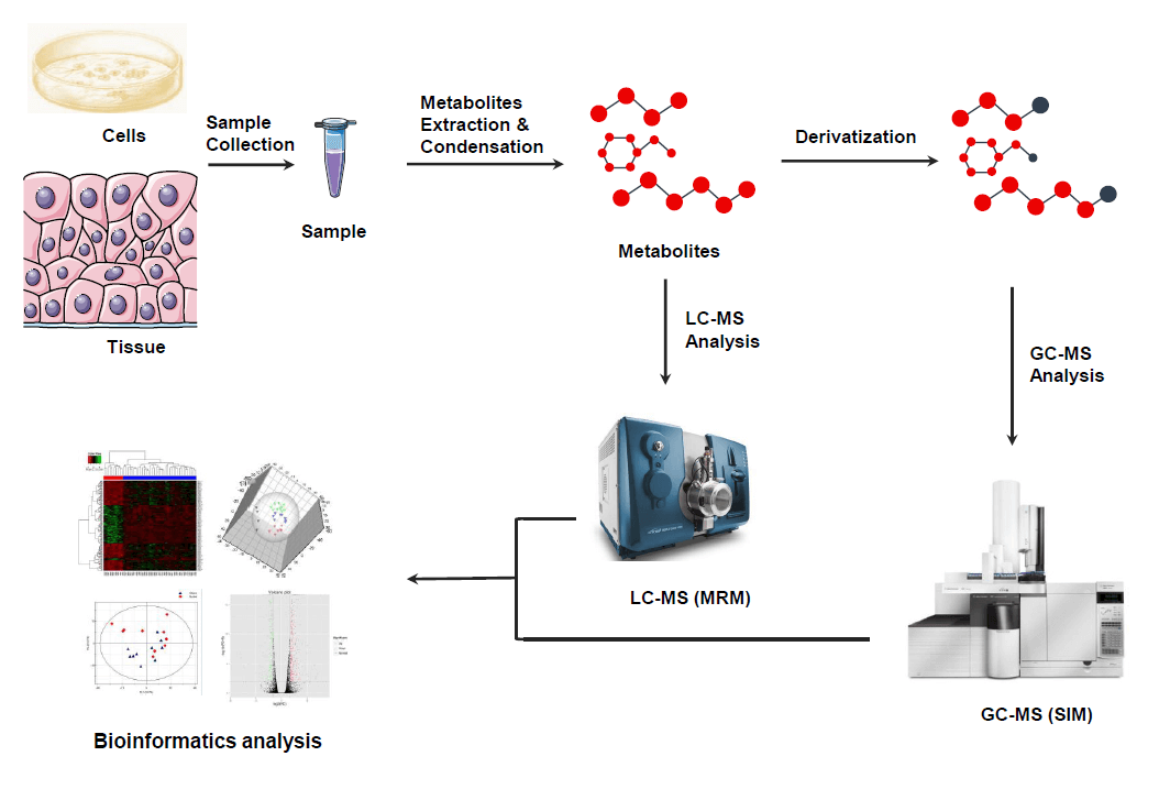 untargeted-metabolomics3.png