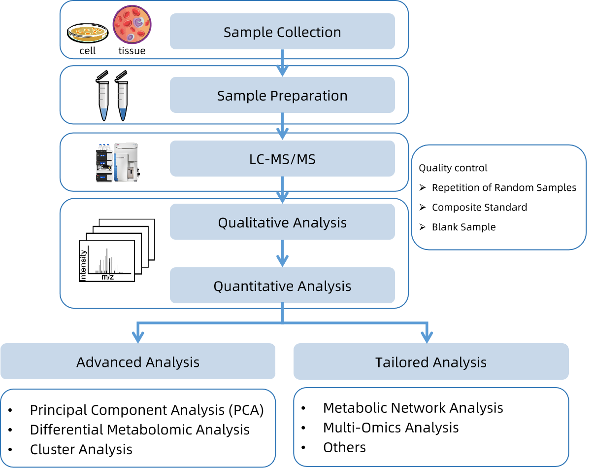 vitamin-b6-analysis-service2.png