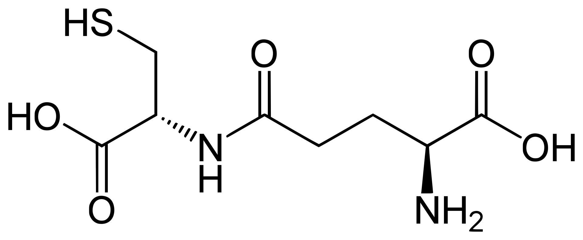 γ-glutamate-cysteine-analysis-service1.png